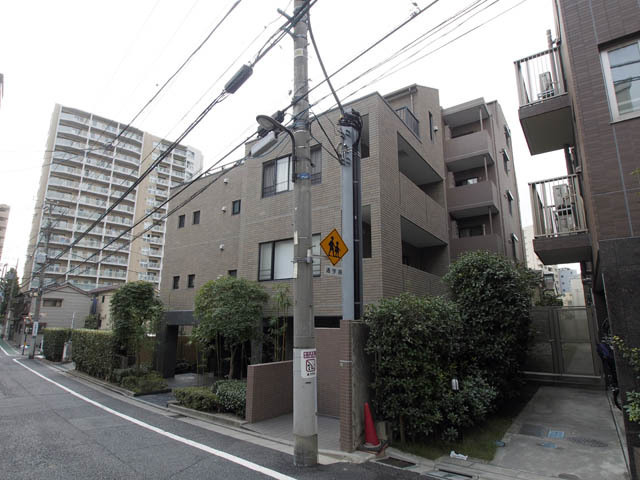 アデニウム文京本駒込
